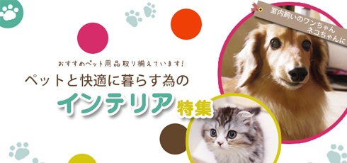 愛媛 DIY＆リフォームショップREROOM【ペット特集 滑り止め】